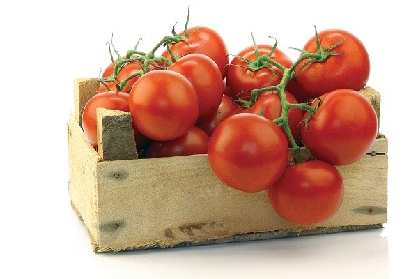 Có nên bảo quản cà chua trong ngăn đá tủ lạnh?